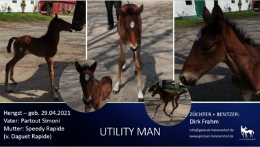 Utility Man