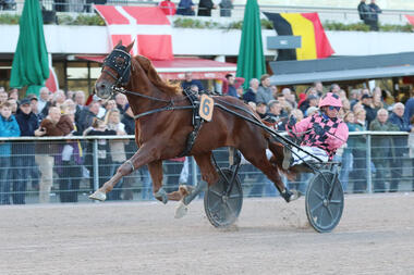 Uzo Josselyn siegt im Hamburg-Cup