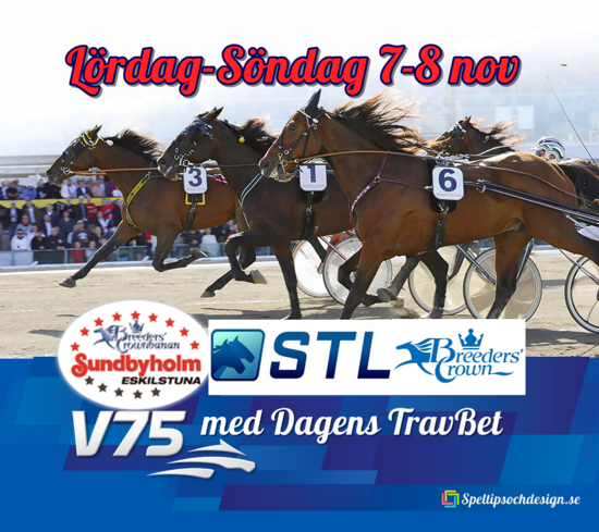 V75 Eskilstuna 2020-11-07-08 Dubbeltrav med Breeders finaler