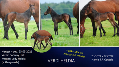 Verdi Heldia