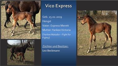 Vico Express