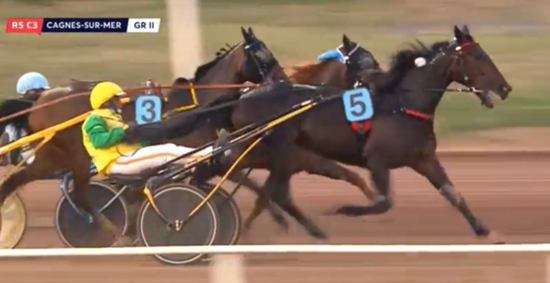 vivid_cagnes