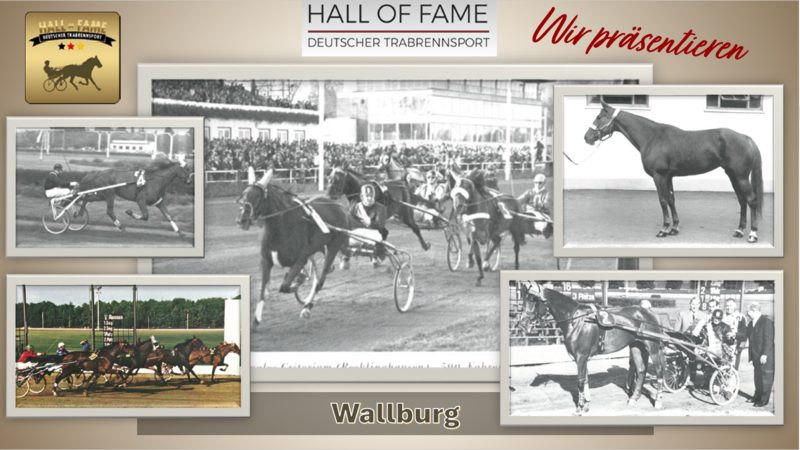 Wallburg12