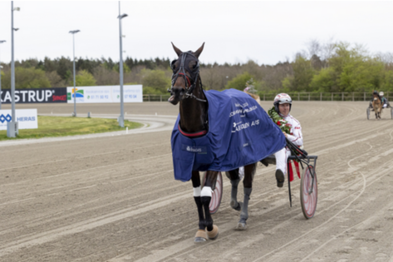 Y Not Diamant Y Not Diamant