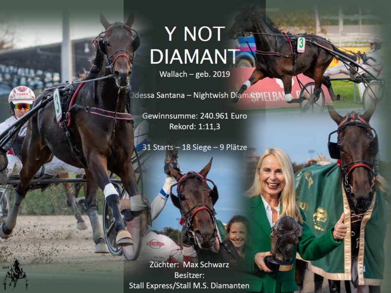 Y Not Diamant