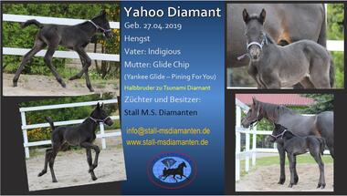 Yahoo Diamant