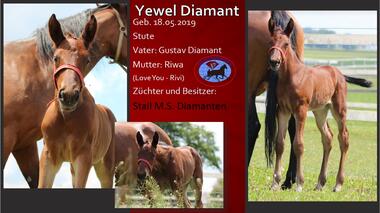 Yewel Diamant