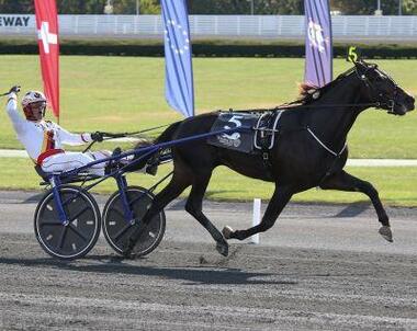 Zacon-Gio-int-Trot_imagelarge