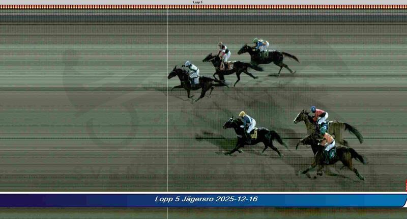 Zielfoto Reiten Zielfoto Reiten