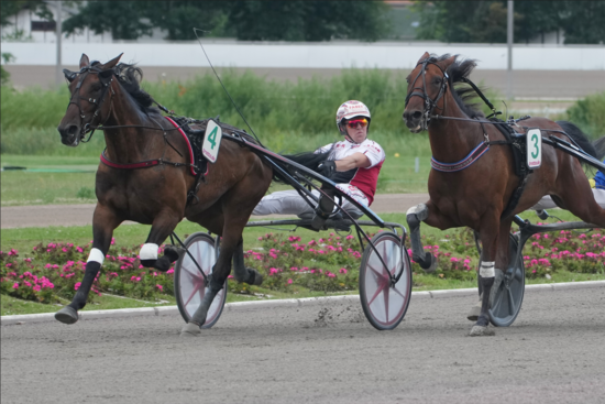 Zoom Diamant1