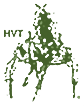 HVT Logo