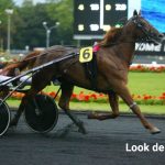Look de Star (FR) – 2026