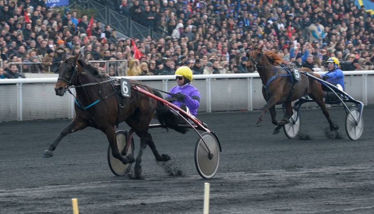 Partout Simoni (DK) – 2026