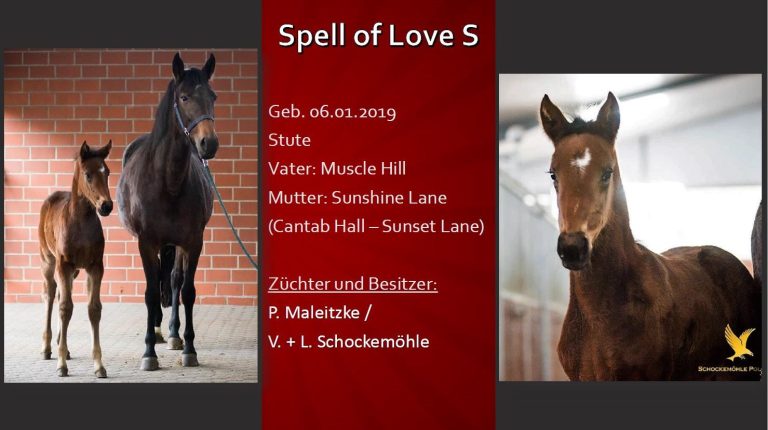 Spell of Love S