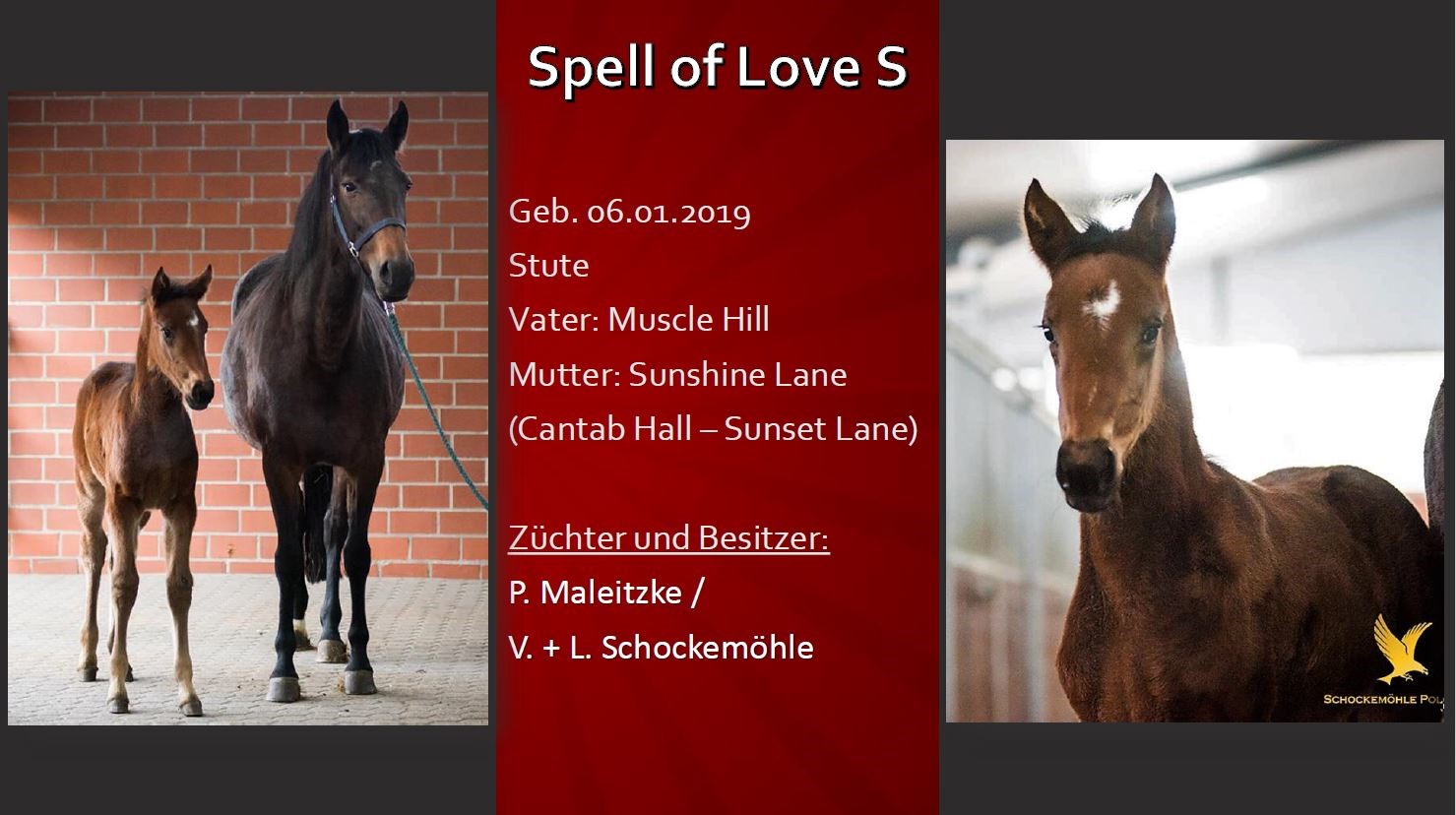 Spell of Love S