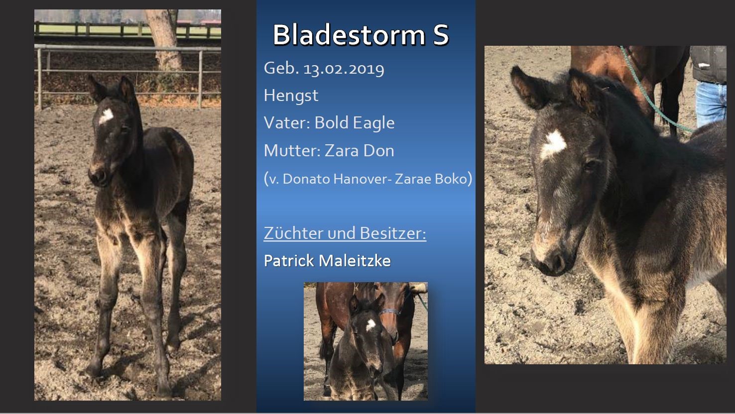 Bladestorm S