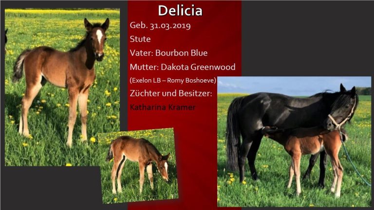 Delicia