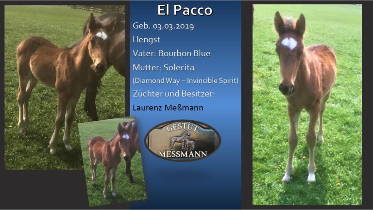 El Pacco