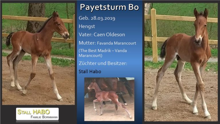 Payetsturm Bo