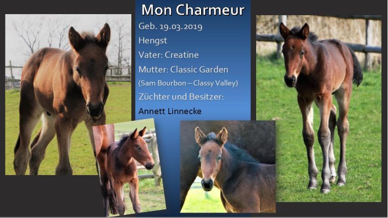 Mon Charmeur