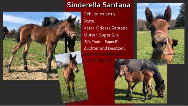 Sinderella Santana