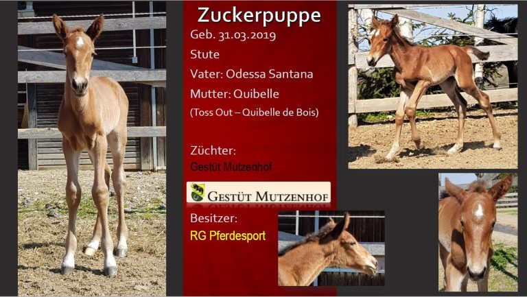 Zuckerpuppe
