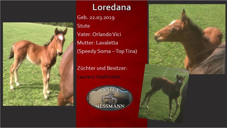 Loredana