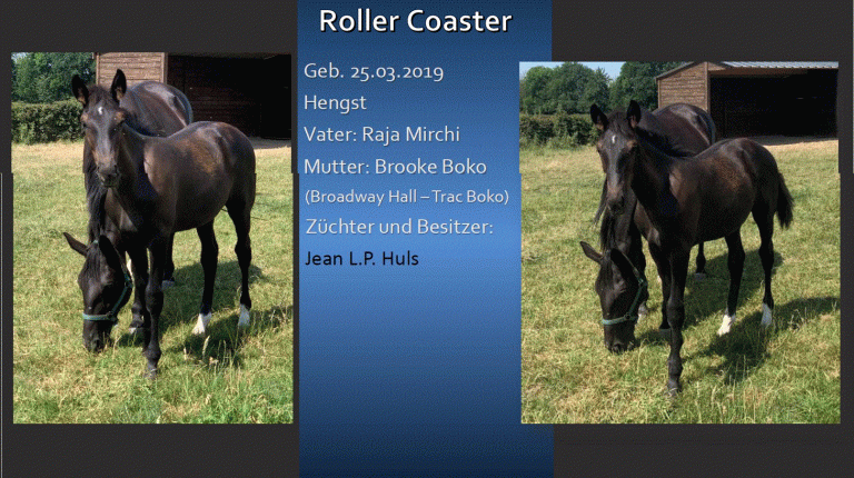 Roller Coaster