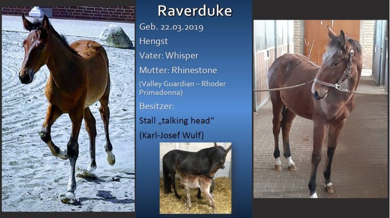 Raverduke