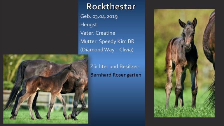 Rockthestar
