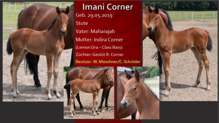 Imani Corner