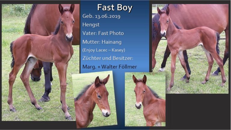 Fast Boy
