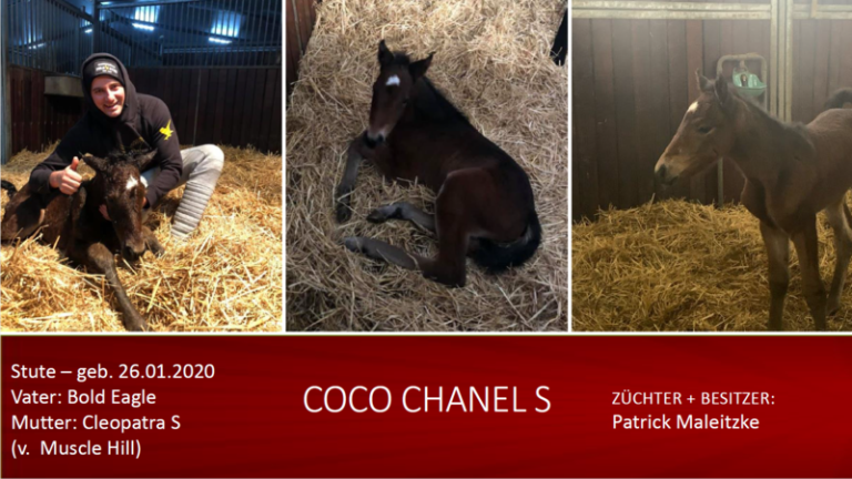 COCO CHANEL S
