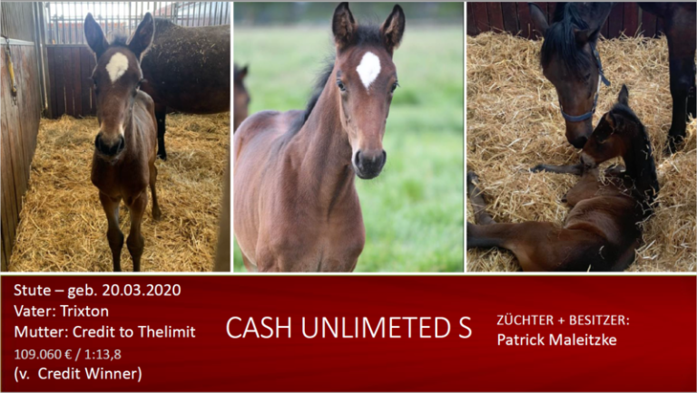 Cash Unlimeted S