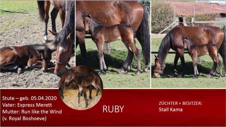 Ruby