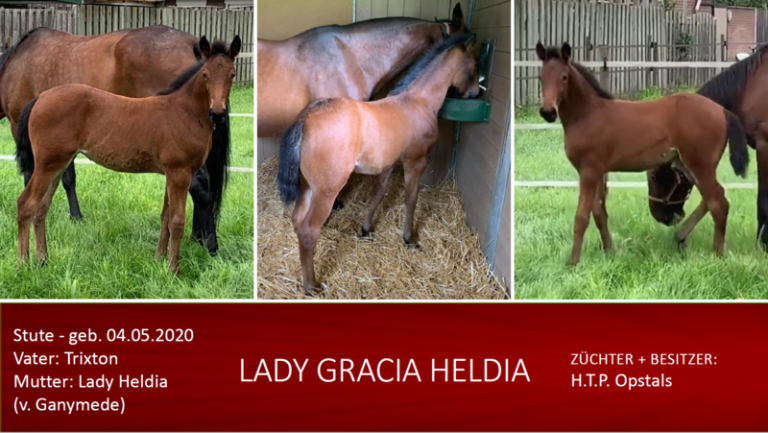 Lady Gracia Heldia