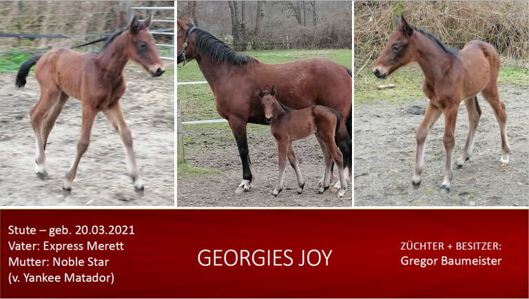 Georgies Joy