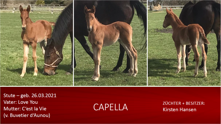 Capella
