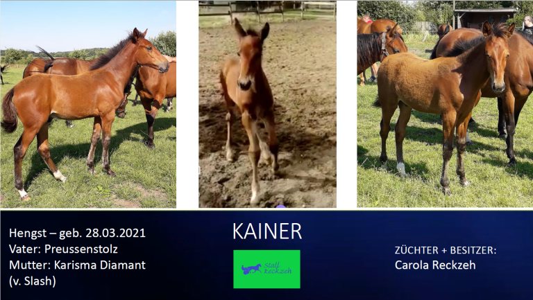 Kainer