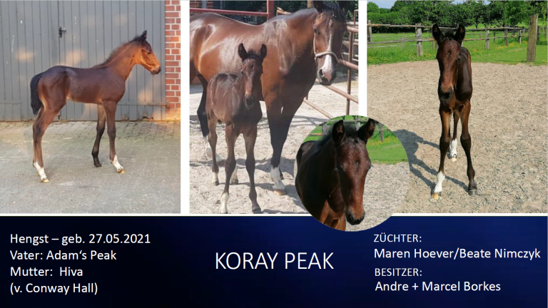 Koray Peak