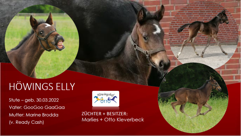 Höwings Elly