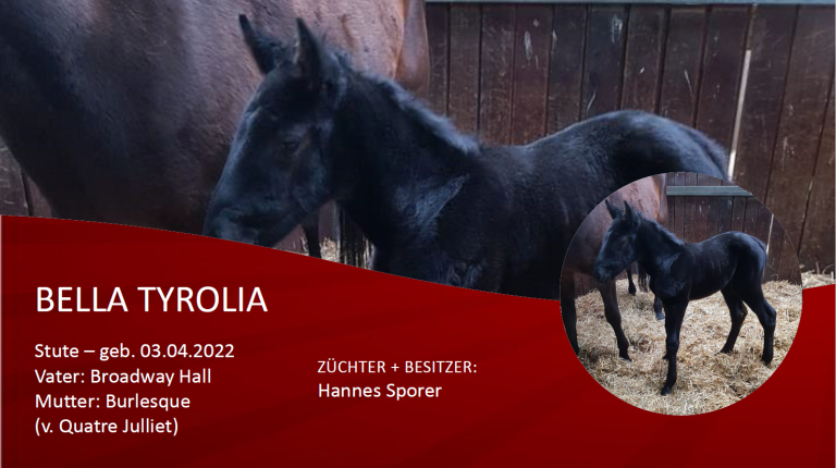 Bella Tyrolia