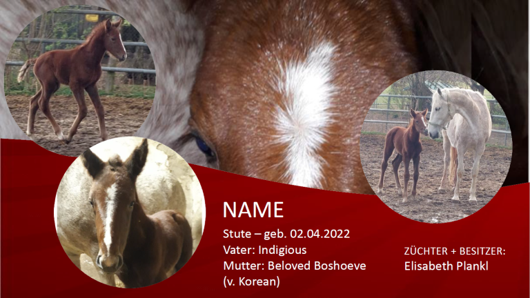 NAME