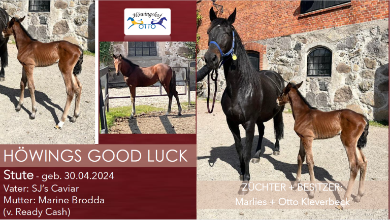 Höwings Good Luck