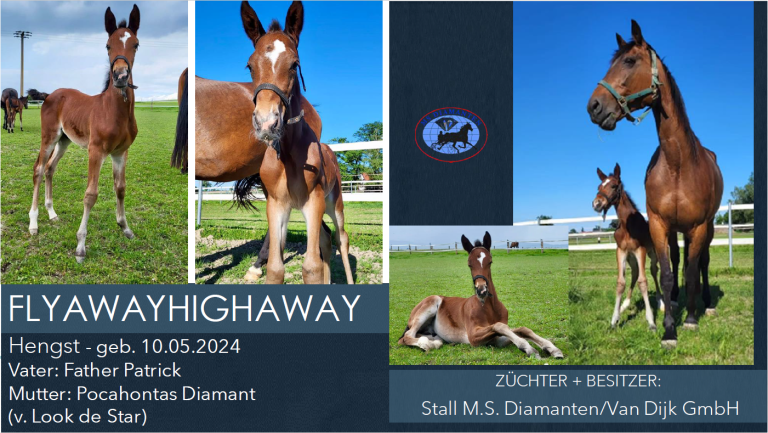 FLYAWAYHIGHAWAY