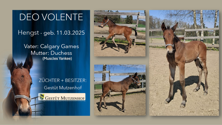 Deo Volente