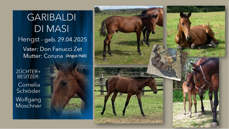 Garibaldi di Masi