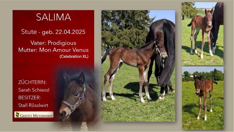 Salima