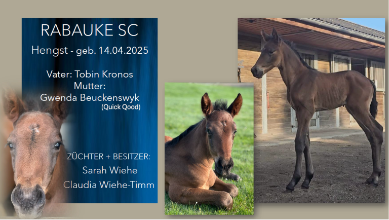 Rabauke SC