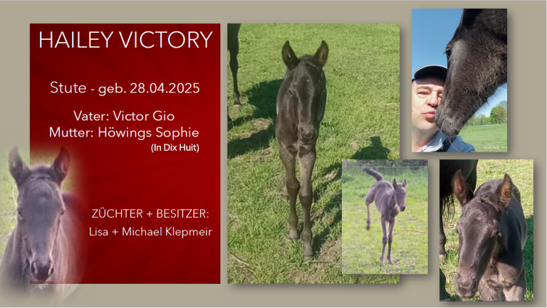 Hailey Victory